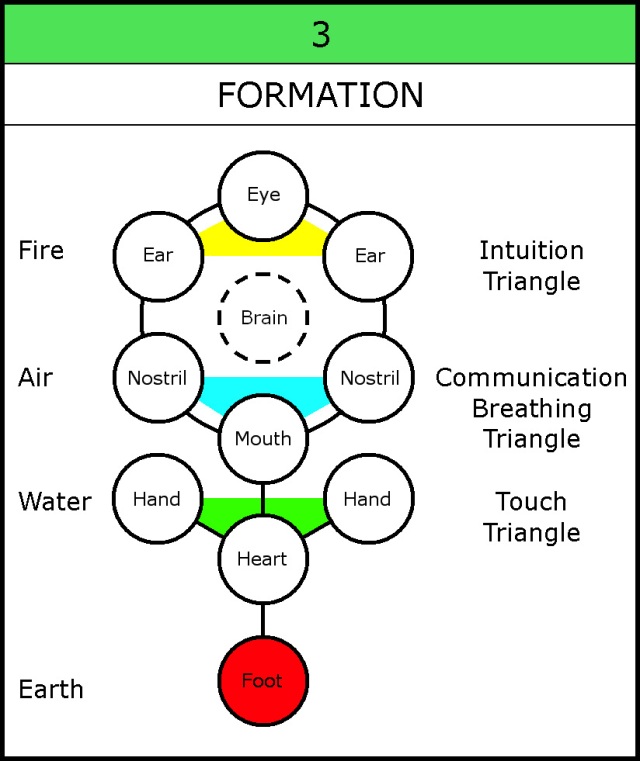 013-3 Triangles-4 Elements-Anatomy-3Formation-002