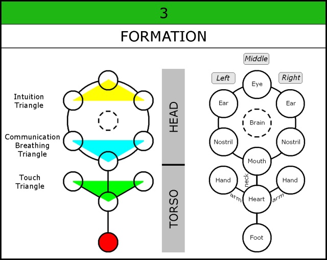 Chart-031-3 Triangles-Formation-Organs-002