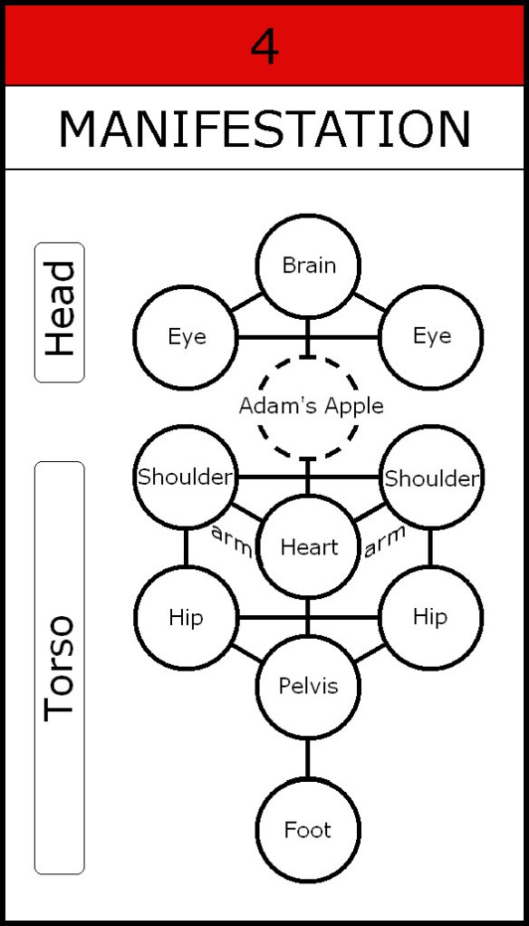 Chart-080-Duality-Head Torso-Organs
