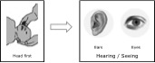 000e-hearing-and-seeing